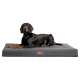 Ein schwarz-brauner Hund, der bequem auf einem großen, grauen Haustierbett mit einem Lederetikett liegt, auf dem "Pet Brand" steht.