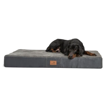 Ein schwarz-brauner Dobermann liegt bequem auf einem grauen Haustierbett mit einem Lederschild mit der Aufschrift 'terranova'.