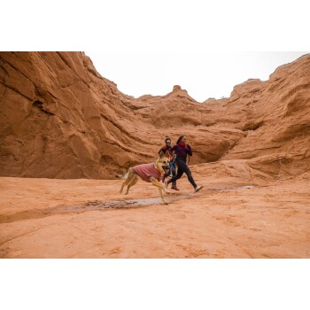 Ein Hund in einem rosa Pullover läuft fröhlich auf einem sandigen Gelände, begleitet von zwei Personen in lässiger Kleidung, umgeben von felsigen Klippen.