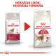 Image de deux sacs de nourriture pour chats Royal Canin étiquetés "FIT" et "Regular FIT," présentant un nouveau look et une nouvelle formule avec un graphique de chat.
