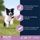 Trockenfutter Hund Small & Medium Breed Puppy, Lamm & Reis 12 kg