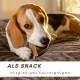 Beagle-Hund kaut einen Knochen auf einer Decke mit dem Text „ALS SNACK ausgiebiges Kauvergnügen“ darunter.