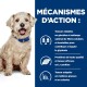 Un chien duveteux avec un collier bleu est assis contre un fond bleu avec du texte sur les mécanismes diététiques pour la glycémie et la nutrition.