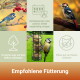 Collage eines Meisenknödel-Futters mit Blaumeisen und einem Specht, deutscher Text 'Empfohlene Fütterung' und kurze Fütterungstipps.