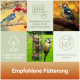 Collage eines Meisenknödel-Futters mit Blaumeisen und einem Specht, deutscher Text 'Empfohlene Fütterung' und kurze Fütterungstipps.