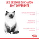 Chaton duveteux à gauche ; titre en français 'Les besoins du chaton sont différents' ; mentions : système immunitaire fragile, digestion sensible.