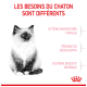 Chaton duveteux à gauche ; titre en français 'Les besoins du chaton sont différents' ; mentions : système immunitaire fragile, digestion sensible.