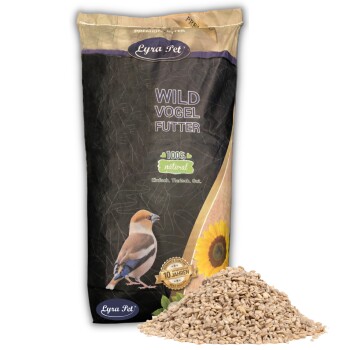 LyraPet Sonnenblumenkerne geschält Bruch 25 kg
