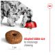 A fluffy dog eating from a red bowl, with a close-up of a donut-shaped kibble and text stating "Adapted kibble size to encourage chewing."