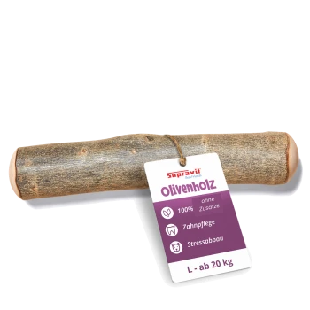 Ein natürlicher Holz-Kauspielzeug für Haustiere, mit einer strukturierten Oberfläche und abgerundeten Enden, vor einem weißen Hintergrund.