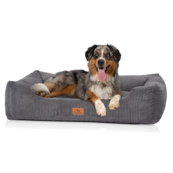Ein glücklicher Australian Shepherd, der auf einem plüschigen grauen Haustierbett mit gerippter Textur liegt, mit einem kleinen Lederetikett, auf dem "KNUFFELWUFF" steht.