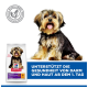 Flauschiger kleiner Hund neben einem Hill's-Hundefutterbeutel; blaues Banner: 'UNTERSTÜTZT DIE GESUNDHEIT VON DARM UND HAUT AB DEM 1. TAG'.