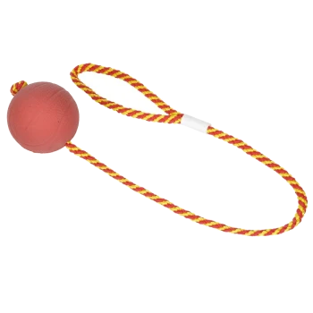Roter Gummiball, der an einem gelb-roten geflochtenen Seil befestigt ist, entworfen für das Spielen mit Haustieren.