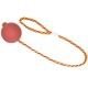 Red rubber ball attached to a yellow and red braided rope, designed for pet play.