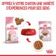 Image promouvant la nourriture Royal Canin Kitten Sterilised avec des croquettes, de la nourriture humide et un bol rouge. Texte : "Offrez à votre chaton une variété d’expériences."