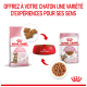 Image promouvant la nourriture Royal Canin Kitten Sterilised avec des croquettes, de la nourriture humide et un bol rouge. Texte : "Offrez à votre chaton une variété d’expériences."