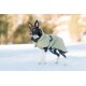 Ein schwarz-weißer Hund, der einen hellgrünen wasserdichten Mantel trägt, steht im Schnee und sieht aufmerksam in einer Winterlandschaft aus.