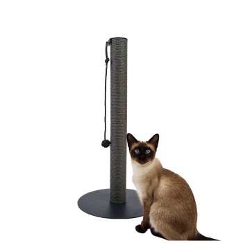 Schwarzer Kratzbaum für Katzen mit runder Basis und einem hängenden Spielzeug, das mit einem Seil befestigt ist.