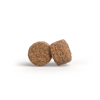 Zwei braune, runde, gepresste Futtermittelkroketten mit strukturierter Oberfläche auf neutralem Hintergrund