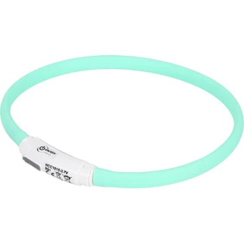 Een mintgroene huisdierhalsband met een witte aan/uit-schakelaar, ontworpen voor zichtbaarheid en veiligheid tijdens nachtelijke wandelingen.