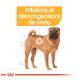 Illustration d'un chien Shar Pei montrant des irritations cutanées et des démangeaisons, avec le texte "Irritations et démangeaisons de peau."