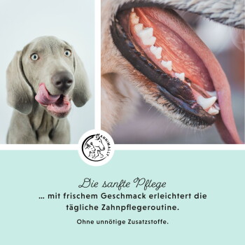 Zahnspray für Haustiere, das die tägliche Mundhygiene fördert und eine einfache Anwendung für Zähne und Zahnfleisch bietet. Text in deutscher Sprache am unteren Rand.