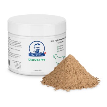 Behälter von Dr. Hölter DiarDoc Pro, einem probiotischen Supplement für Hunde, 300g feines Pulver, mit Text, der die Vorteile für die natürliche Darmflora hervorhebt.