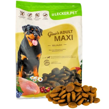 Hundefuttertüte mit einem Rottweiler auf der Vorderseite, beschriftet mit 'Gino's ADULT MAXI mit Huhn', mit verstreutem Kibble davor.