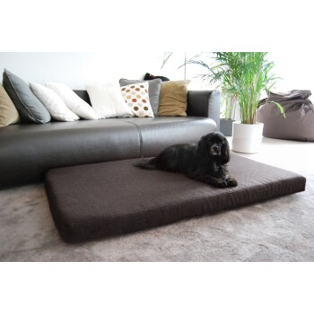 Ein schwarzer Hund ruht auf einem braunen Haustierbett in einem modernen Wohnzimmer mit einem dunklen Ledersofa und dekorativen Kissen.