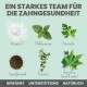 Natürliche Inhaltsstoffe für die Zahngesundheit: Vitamin C, Pfefferminze, Petersilie, Algen, Thymian, Spirulina, Hanf. Text: "Ein starkes Team für die Zahngesundheit."