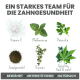Natürliche Inhaltsstoffe für die Zahngesundheit: Vitamin C, Pfefferminze, Petersilie, Algen, Thymian, Spirulina, Hanf. Text: "Ein starkes Team für die Zahngesundheit."