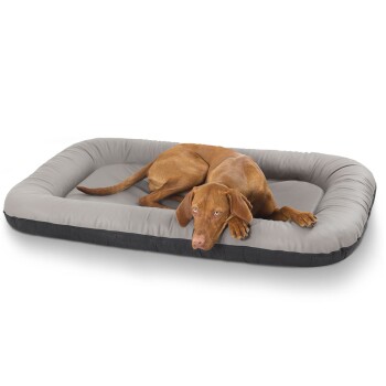 Kunstleder Hundebett Jerry grau XXL
