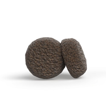Zwei dunkelbraune, strukturierte runde Trockenfutterpellets auf weißem Hintergrund.