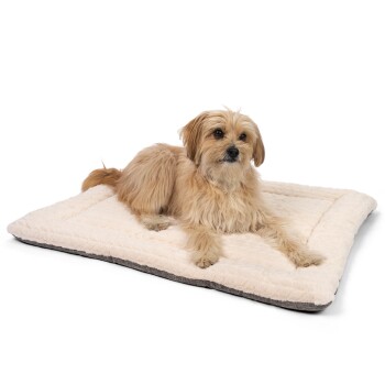 Ein flauschiger Hund liegt auf einem weichen, cremefarbenen Haustierbett mit grauem Unterteil und zeigt Komfort und Entspannung.
