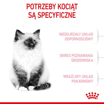 Po lewej puszysty kociak, polski nagłówek 'POTRZEBY KOCIĄT SĄ SPECYFICZNE' z trzema polskimi punktami i logo Royal Canin