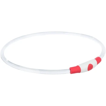 Collier pour animal de compagnie transparent avec un bouton rouge et blanc, conçu pour la visibilité et la sécurité lors des promenades nocturnes.