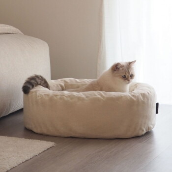 Cremefarbene Katze sitzt in einem runden, beigen Haustierbett auf Holzboden neben einem Sofa und einem durchsichtigen Vorhang; kleines schwarzes Etikett sichtbar.