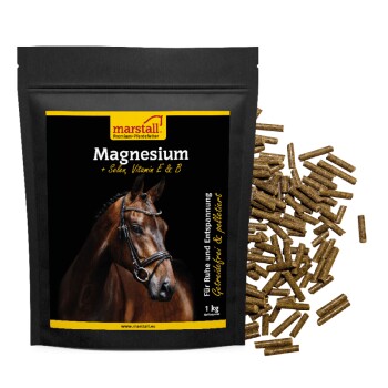 Magnesium 1 kg