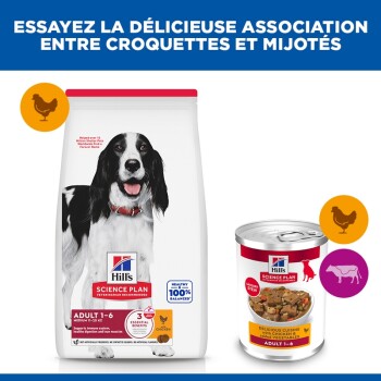Sac et boîte de nourriture pour chiens Hill's Science Plan avec photo de chien, icônes de poulet ; texte visible : 'Hill's Science Plan' et 'Adult 1-6'.