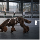 Brauner, lockiger Pudel in beigefarbenem Geschirr an der Leine, schnüffelt am Boden in einer modernen Station mit Metallbänken.