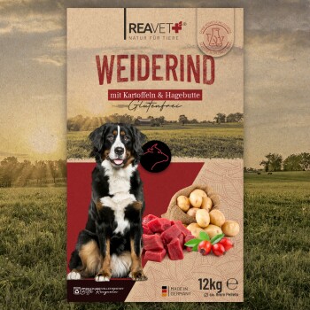 Die Verpackung des Hundefutters zeigt einen Berner Sennenhund und liest "WEIDERIND mit Kartoffeln & Hagebutte Glutenfrei," mit Bildern von Fleisch und Kartoffeln.