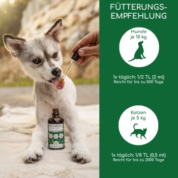 Flasche mit biologischem Leinsamenöl mit Pumpe, beschriftet mit "100% natürlich," "Mit vielen Vitaminen & Mineralien," und "Kalt gepresst & bio-zertifiziert."