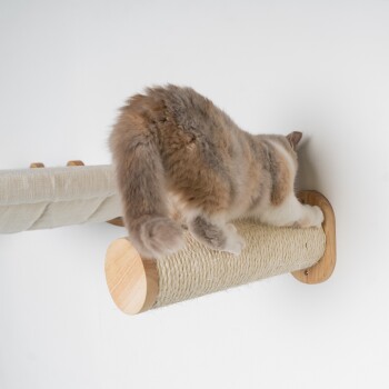 Eine flauschige Katze mit einem hellgrauen und cremefarbenen Fell kratzt an einem hölzernen Kratzbaum, der an einer Wand befestigt ist.