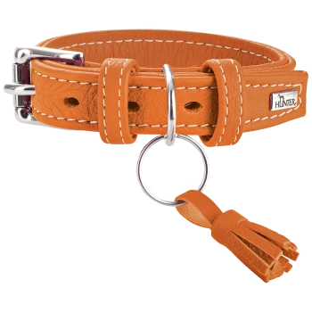 Oranges Leder-Hundehalsband mit weißen Nähten, silberner Schnalle und einem dekorativen Quasten. Verfügt über einen Metall-D-Ring zur Leinenbefestigung.