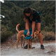 Eine Frau in einem schwarzen Shirt und Shorts passt einen türkisfarbenen Hunderrucksack an einen hellbraunen Hund mit einem weißen Schwanz an, vor einem grünen, bewaldeten Hintergrund.