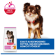 Brauner langhaariger Chihuahua mit rotem Halsband neben Hill's Hundefutterbeutel; Abzeichen 'ACTIVBIOME+ MULTI BENEFIT' und deutscher Slogan.