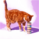Orange getigerte Katze schnuppert an einem Stapel von vier Pets Deli Juicy Filets Katzenfutterdosen auf lila Hintergrund.