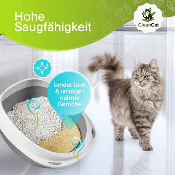 Graue langhaarige Katze neben Katzentoilette; Text 'Hohe Saugfähigkeit' und 'bindet Urin & unangenehme Gerüche', CleanCat-Logo.