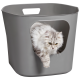 Eine flauschige silberne getigerte Katze, die aus einer grauen Kunststofflagerbox mit einer Aussparung herauskommt und ihren neugierigen Ausdruck zeigt.
