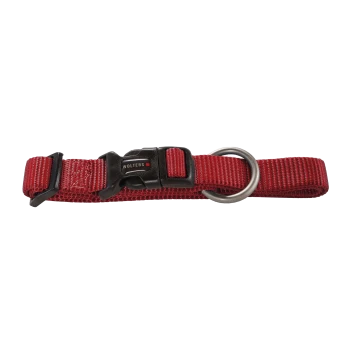 Rotes verstellbares Hundehalsband mit schwarzer Kunststoffschnalle mit der Aufschrift „Wolters“ und einem Metall-D-Ring.